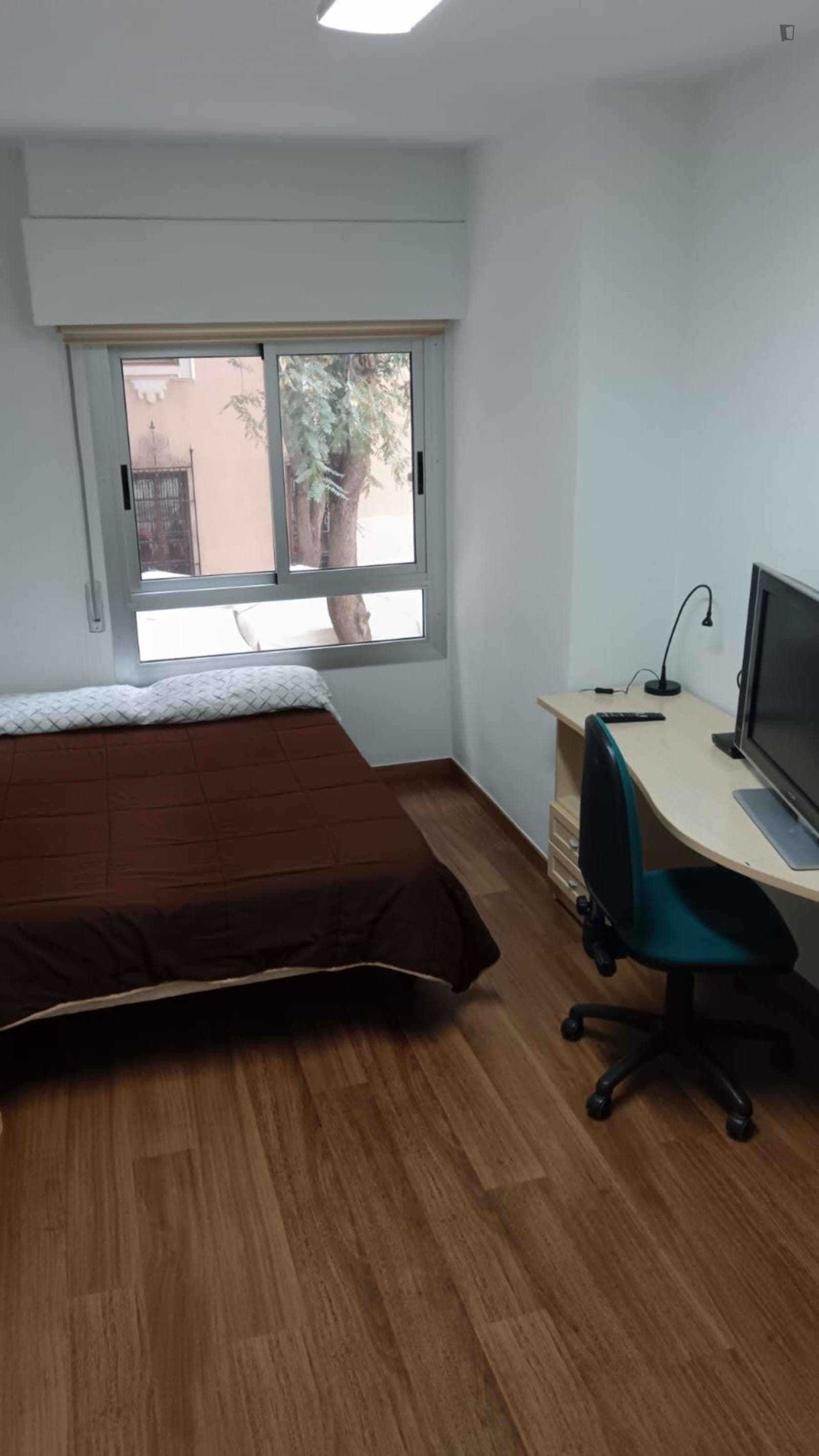 Cosy single bedroom in a shared flat near the Universidad de Murcia: Campus de la Merced photo 1