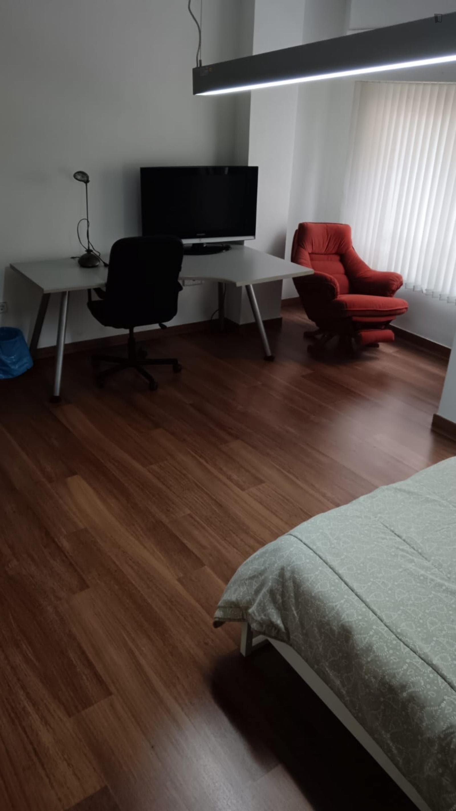 Comfortable single bedroom in a shared flat near the Universidad de Murcia: Campus de la Merced photo 1
