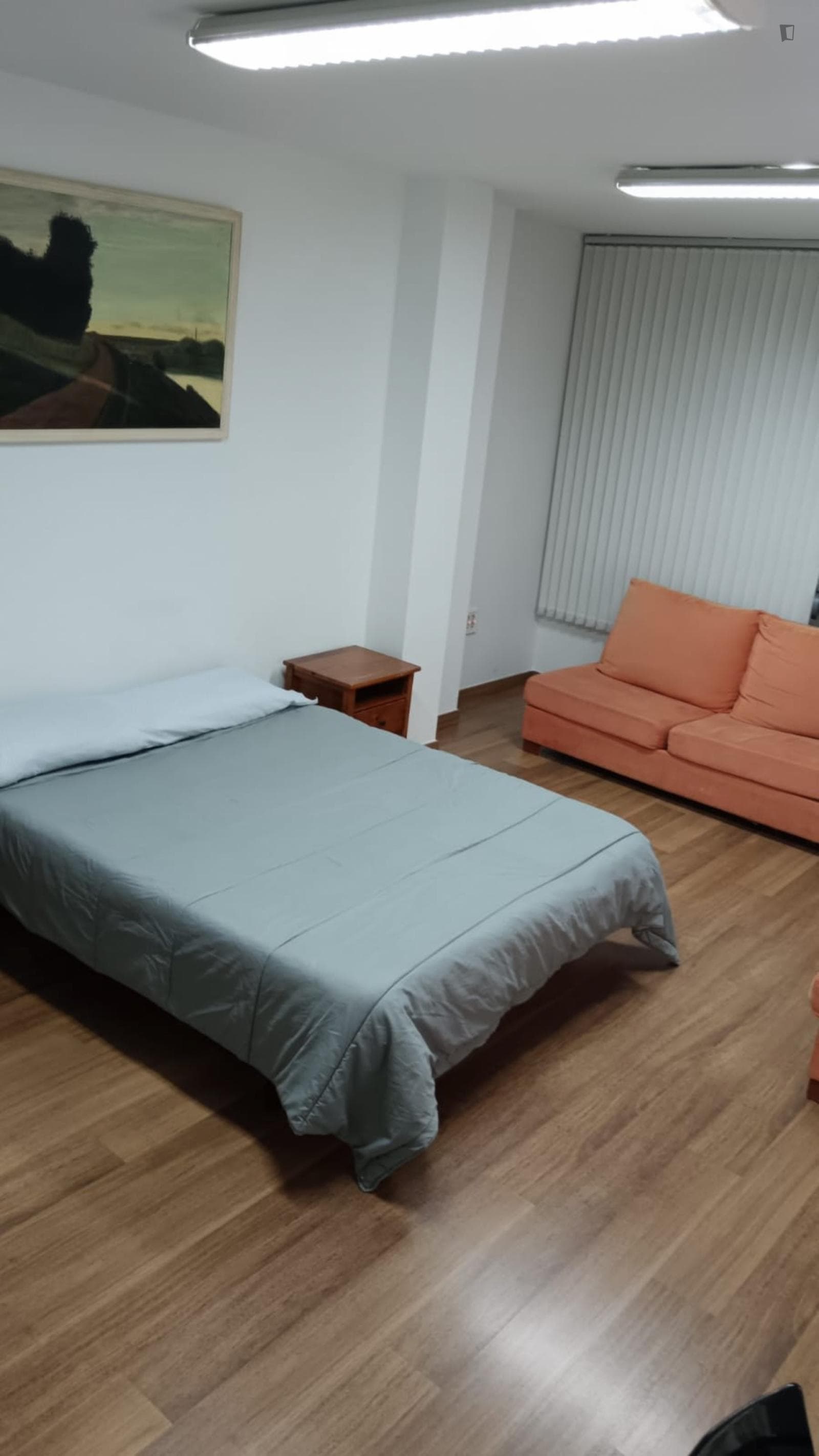 Bright single bedroom in shared flat close to the Universidad de Murcia: Campus de la Merced photo 1