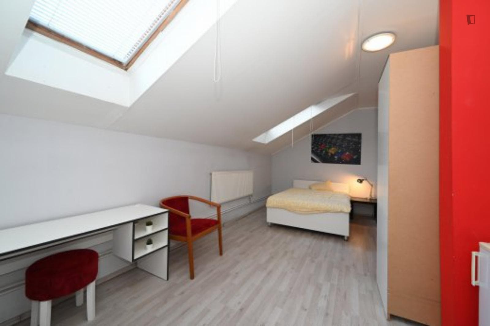 Spacious studio near the Parukářka park photo 1
