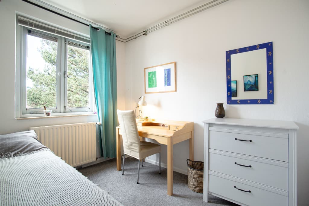 3 bedroom apartment photo 1