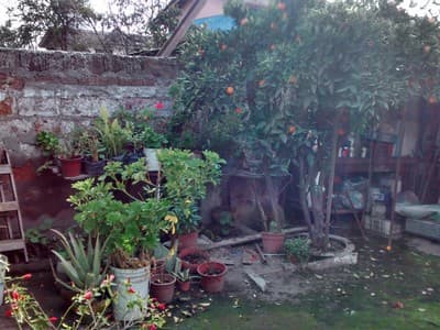 typical food and near the center photo 1