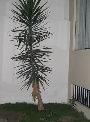 Excellent environment to share photo 1