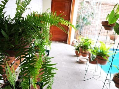 Nice Cozy Room. My house is your house photo 1