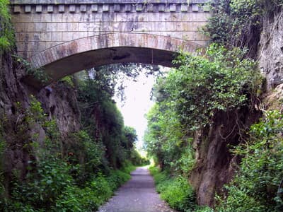 Collected by nature photo 1