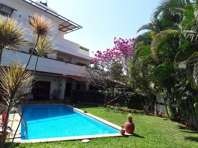 Firefly at Whitefield, Bangalore photo 1