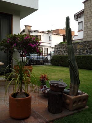 Nice home in the south part of city photo 1