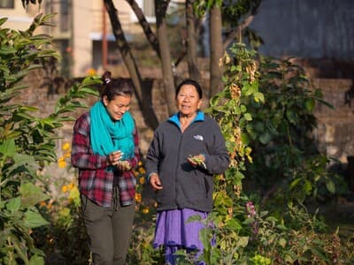 Api- Saipal homestay photo 1