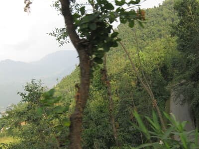 Near the Hills of Shivapuri... photo 1