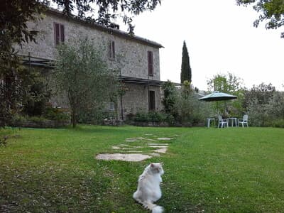 Crevole house in Val di Merse photo 1