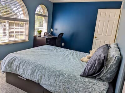 Spacious Bright and Cozy Suite photo 1
