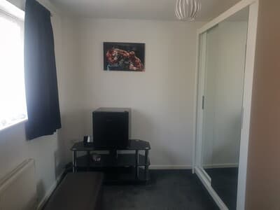 Vibrant room photo 1