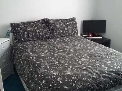 Medium size bedroom photo 1