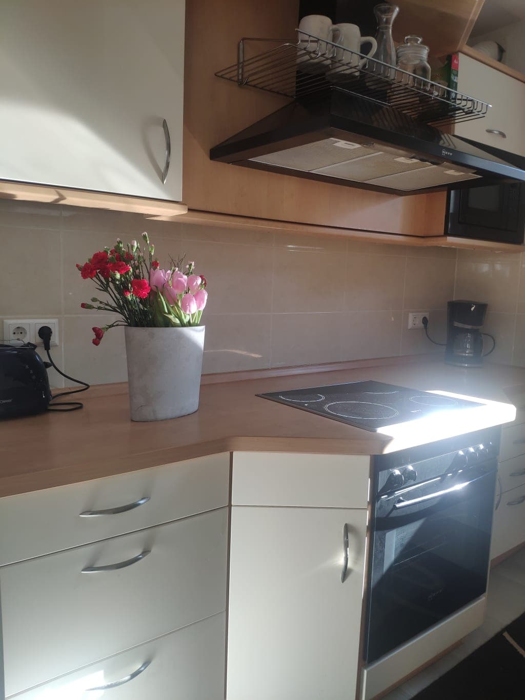 Apartment in basement with terrace in Freiburg photo 1