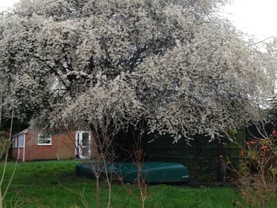 Home Away photo 1