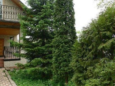 Best place to feel Russian life photo 1
