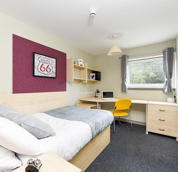 En-Suite Gold - 3