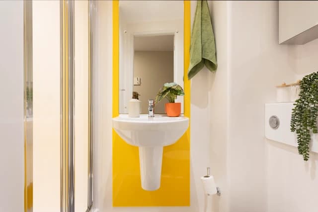 Classic Accessible Studio - 1