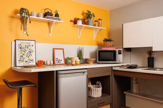 Double Wheelchair Accessible Studio - 3