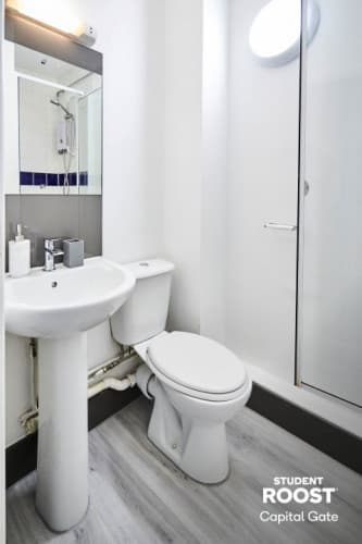 En-Suite Silver - 4