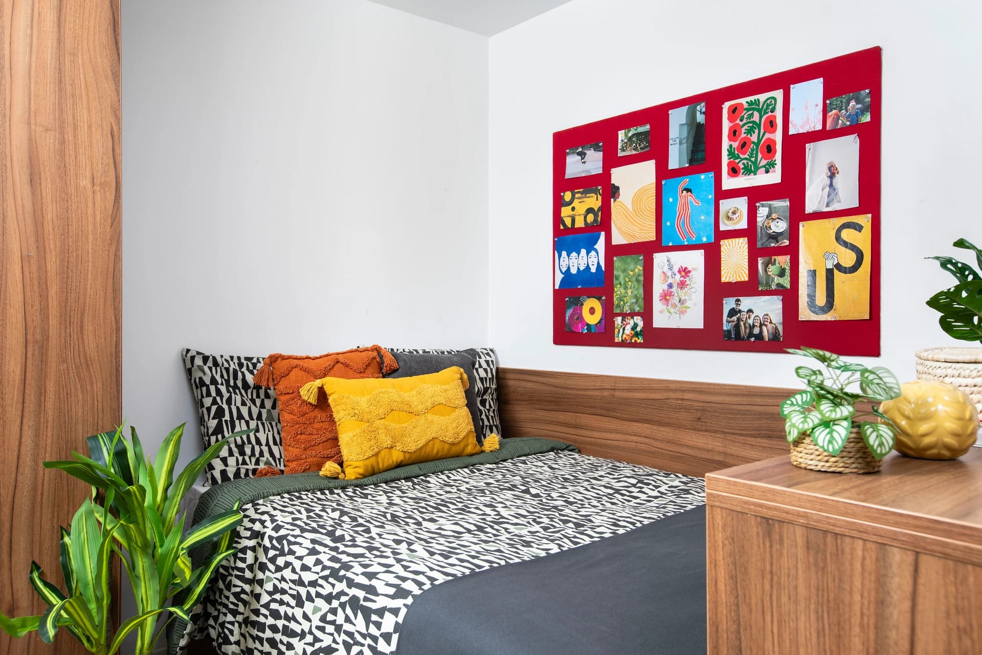 Small High Single Studio - 1