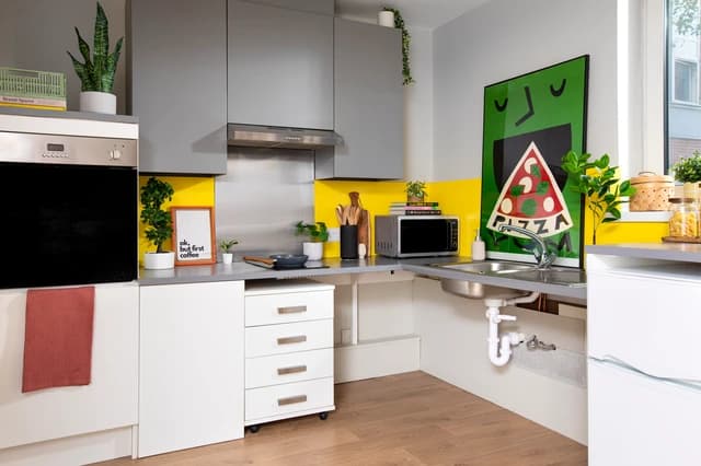 Double Wheelchair Accessible Studio - 4