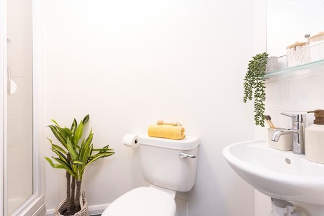 Medium High Double En-Suite: Three Bedroom Flat - 3