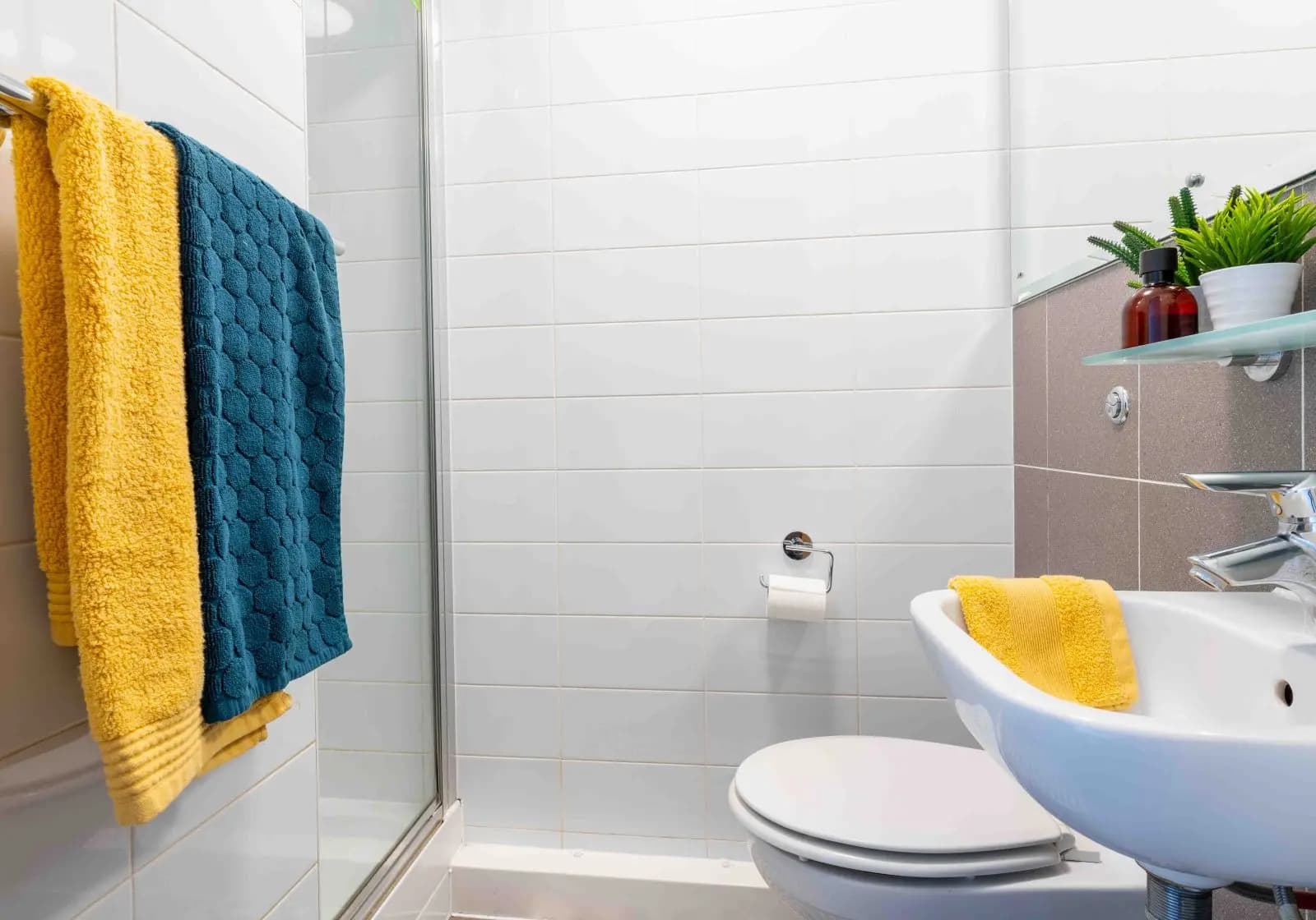 Bronze En-Suite Plus-2627 - 4