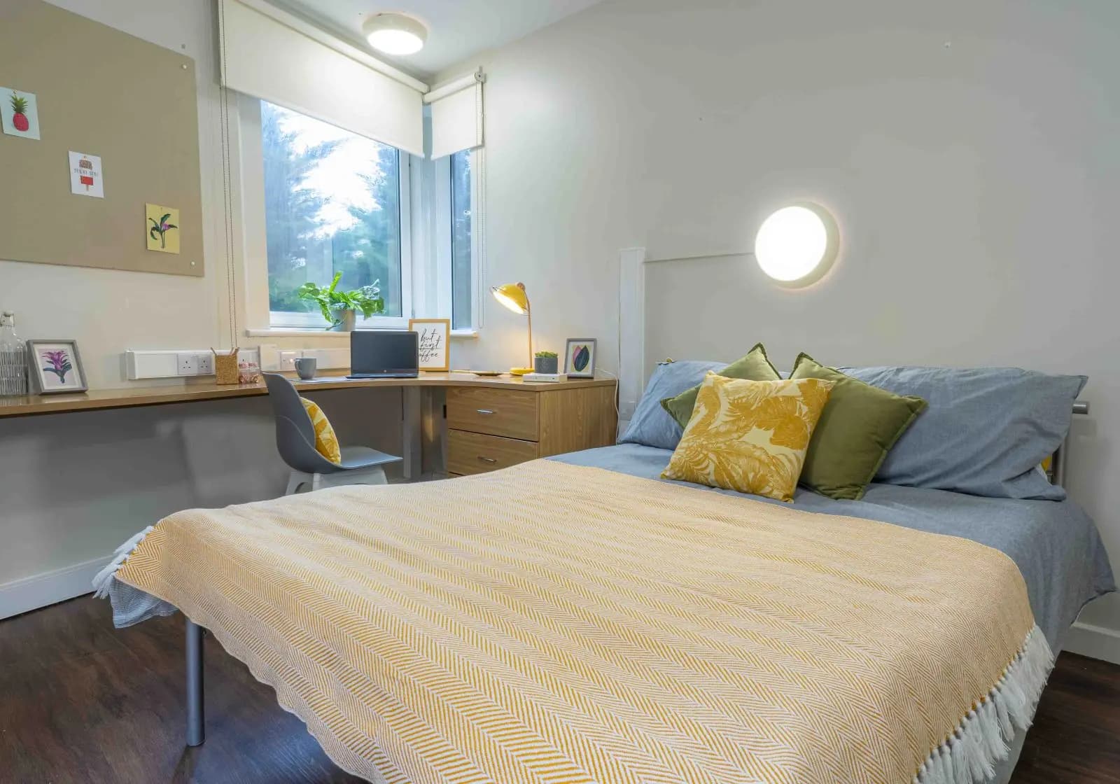 Gold En-Suite - 2