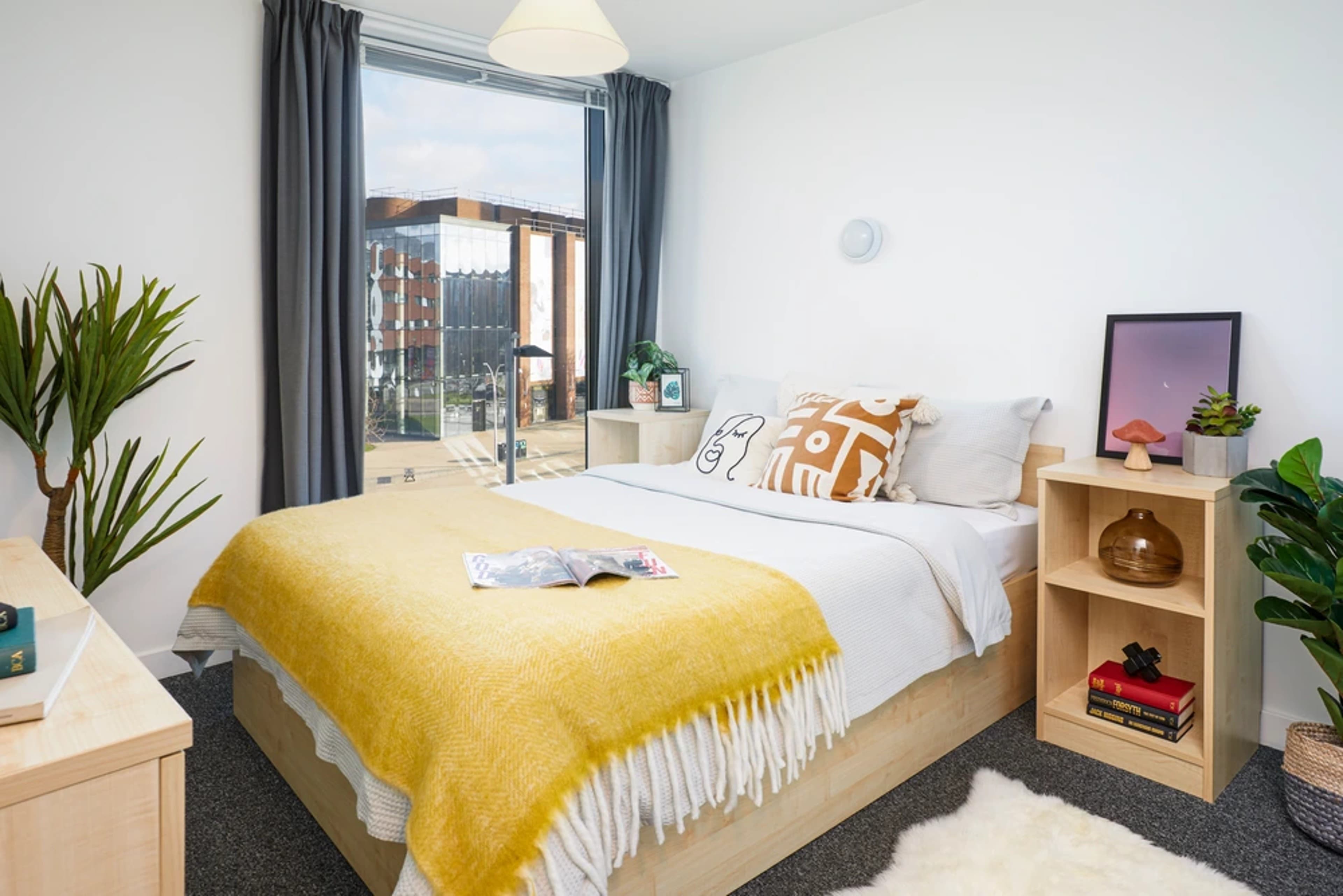 Standard Double One Bedroom Flat - 1