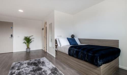 En-Suite Gold - 1
