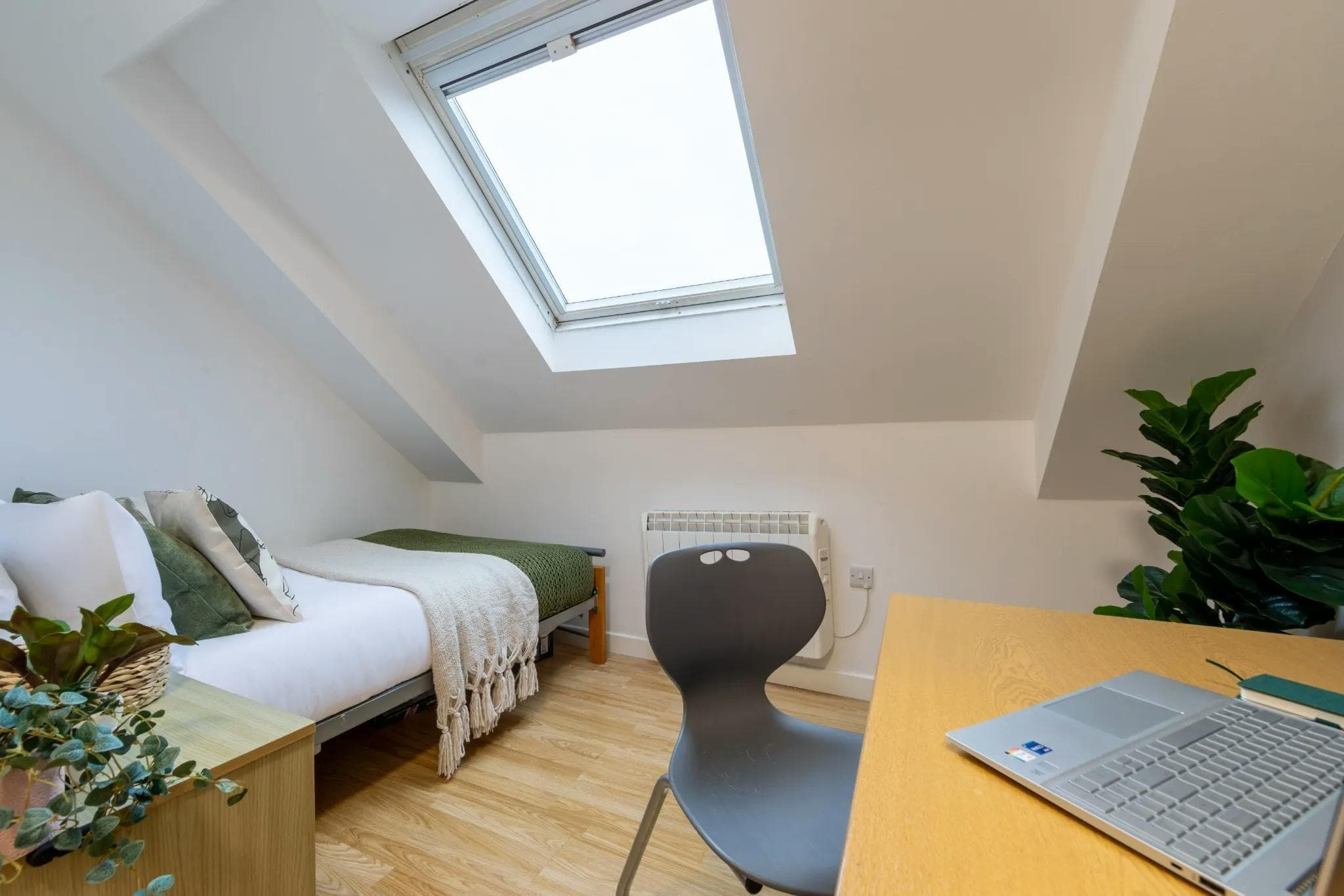Bronze Non En-Suite - 1