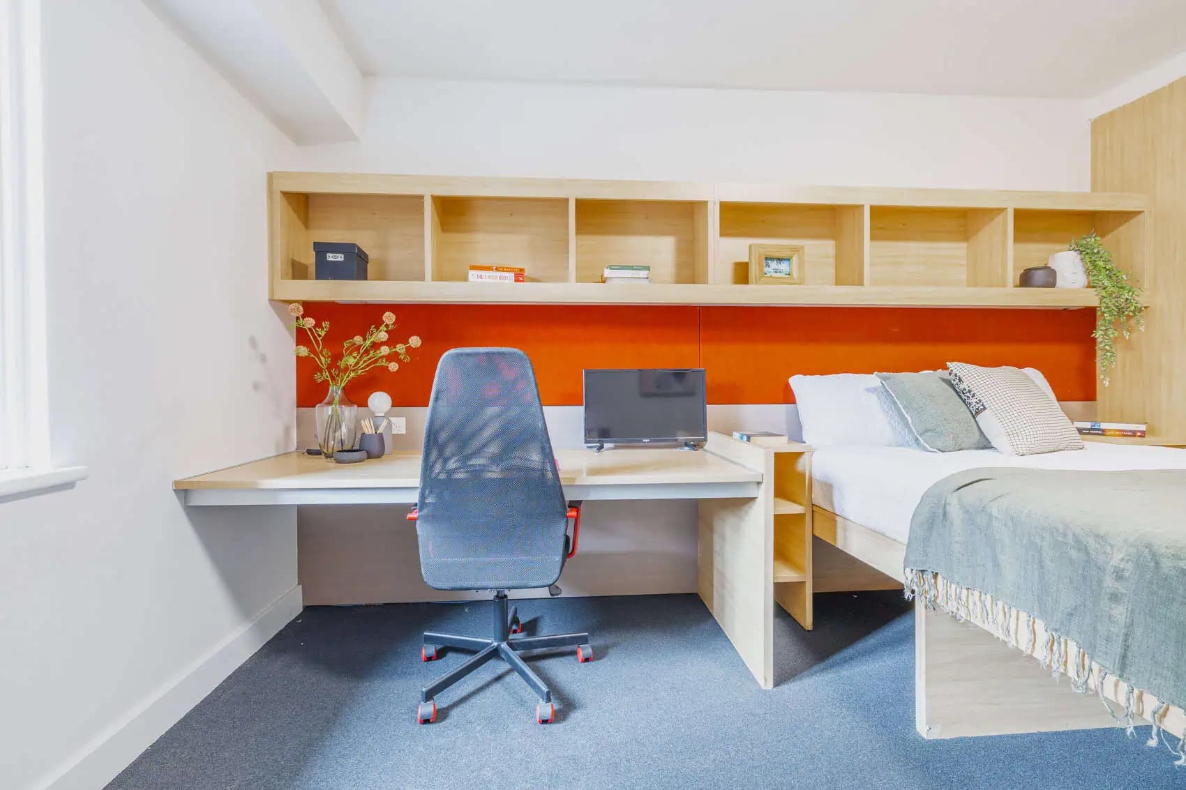 1 Bedroom Suite - 1