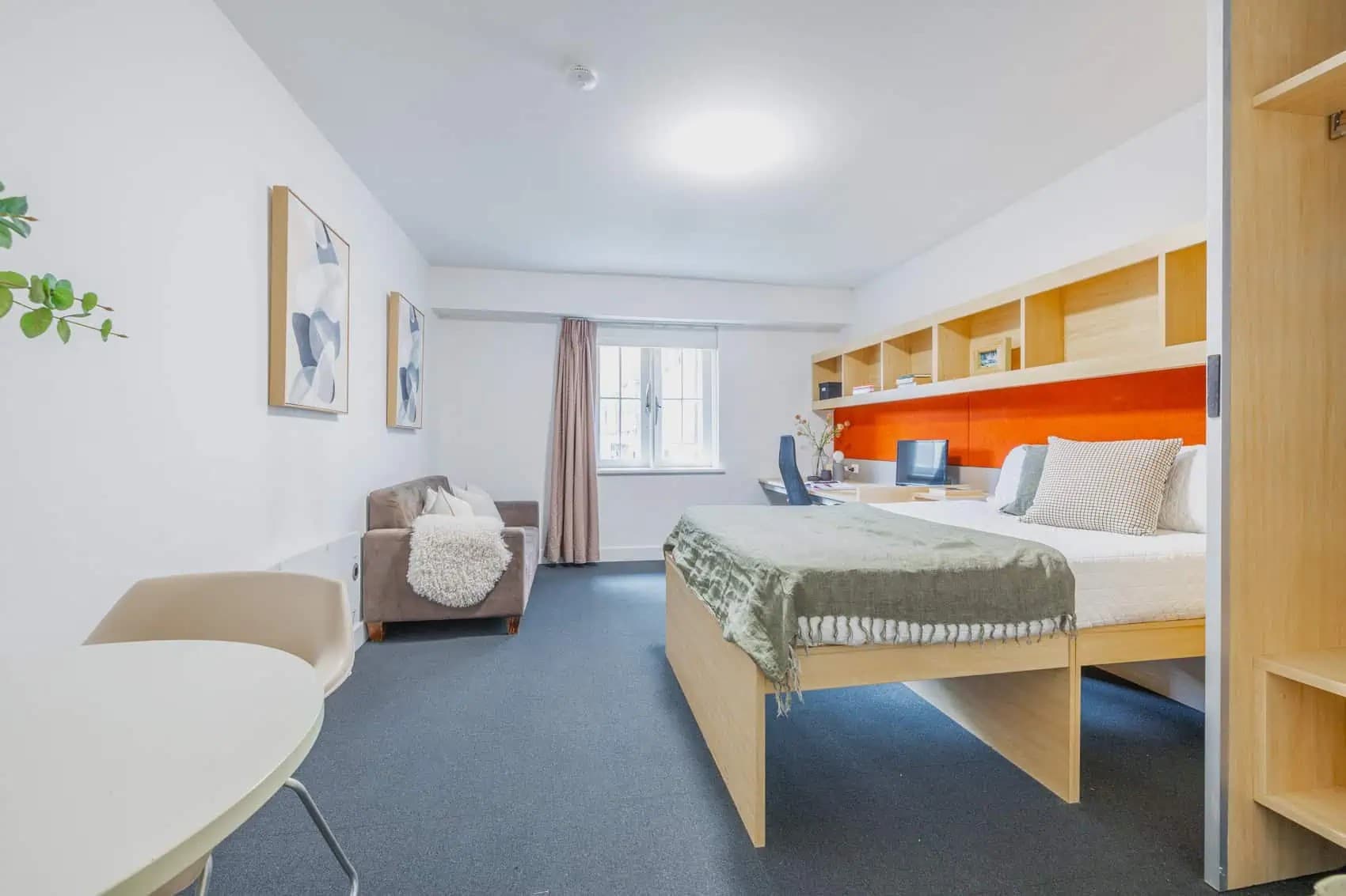1 Bedroom Suite - 9
