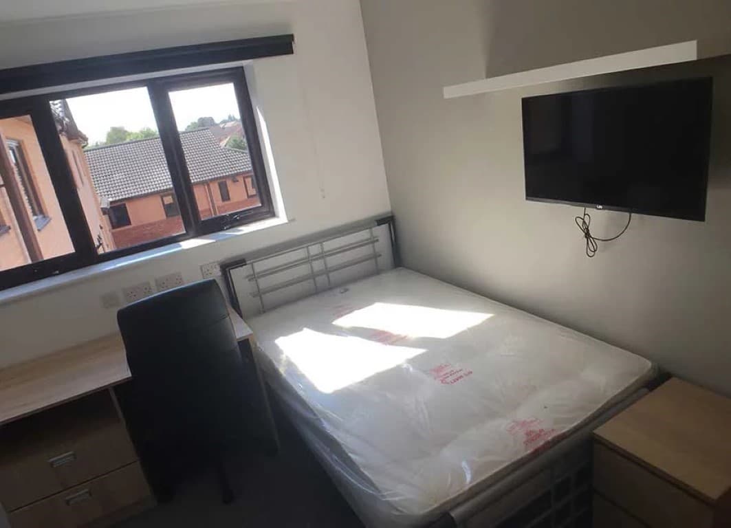 Standard Studios (Halls B) - 1