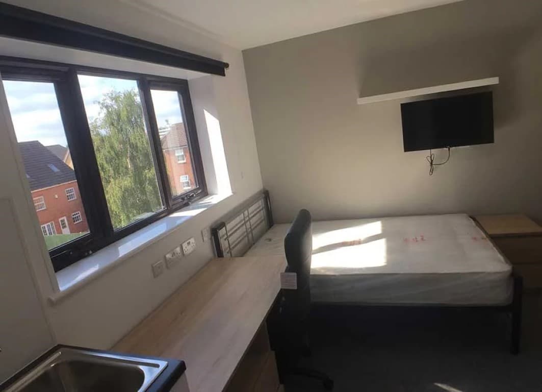Standard Studios (Halls B) - 2