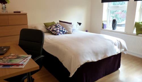 Double With Single Occupancy - 1
