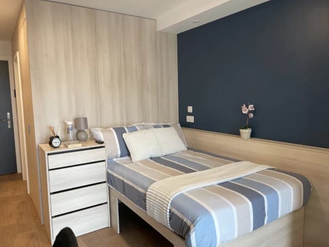 Premium Plus - 4