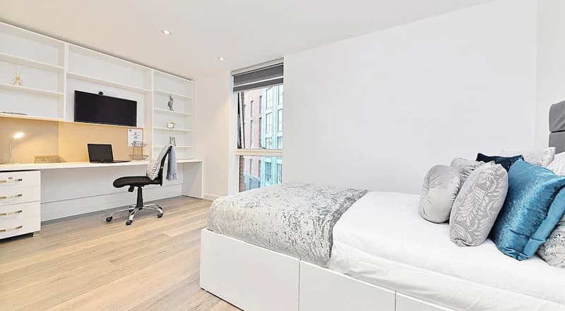 Large Premium Studio - 1