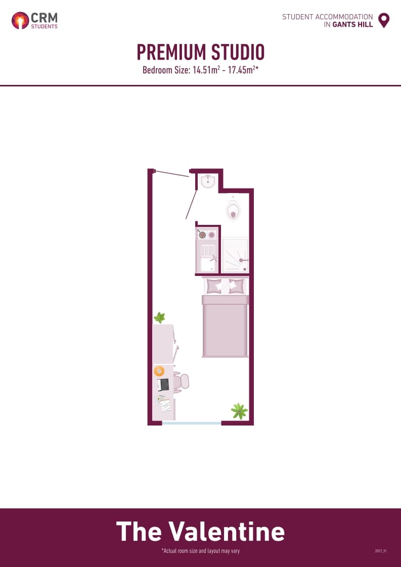 Premium Studio - 6