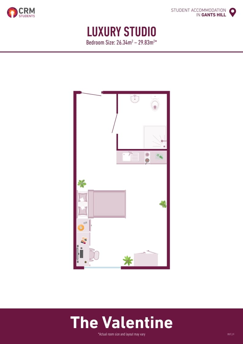 Luxury Studio - 8