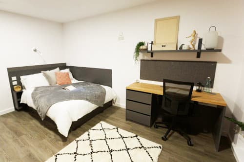 Luxury Studio - 1