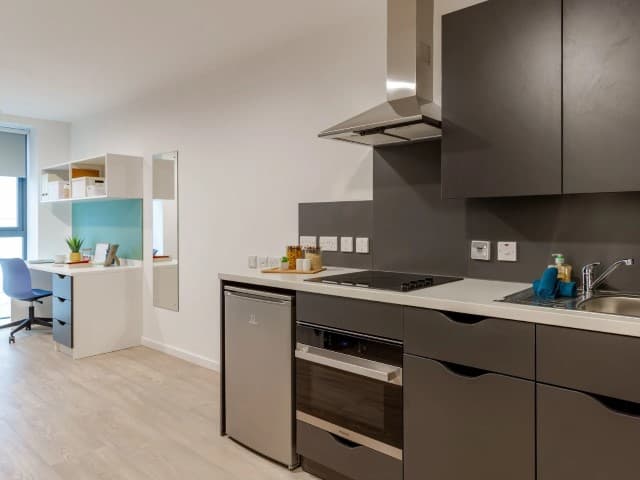 Skyline Platinum Studio - 7