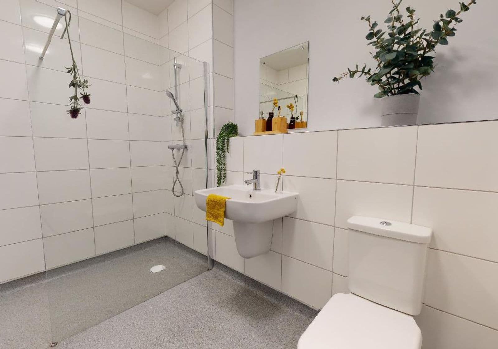 Bronze 2 Bed Apt Plus - 1