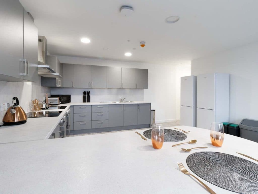 Premium Plus En Suite - 14