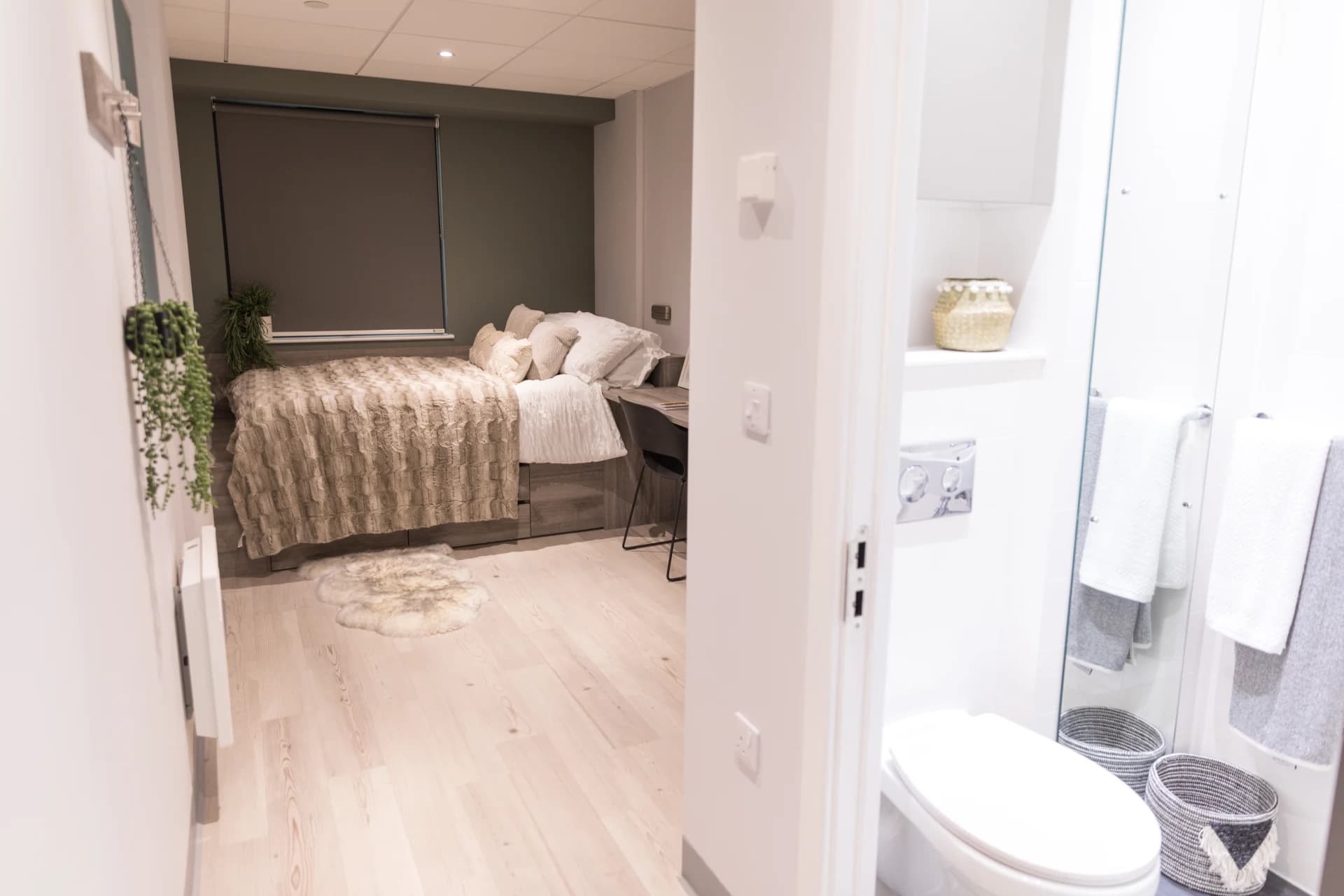 Standard En-Suite - 3