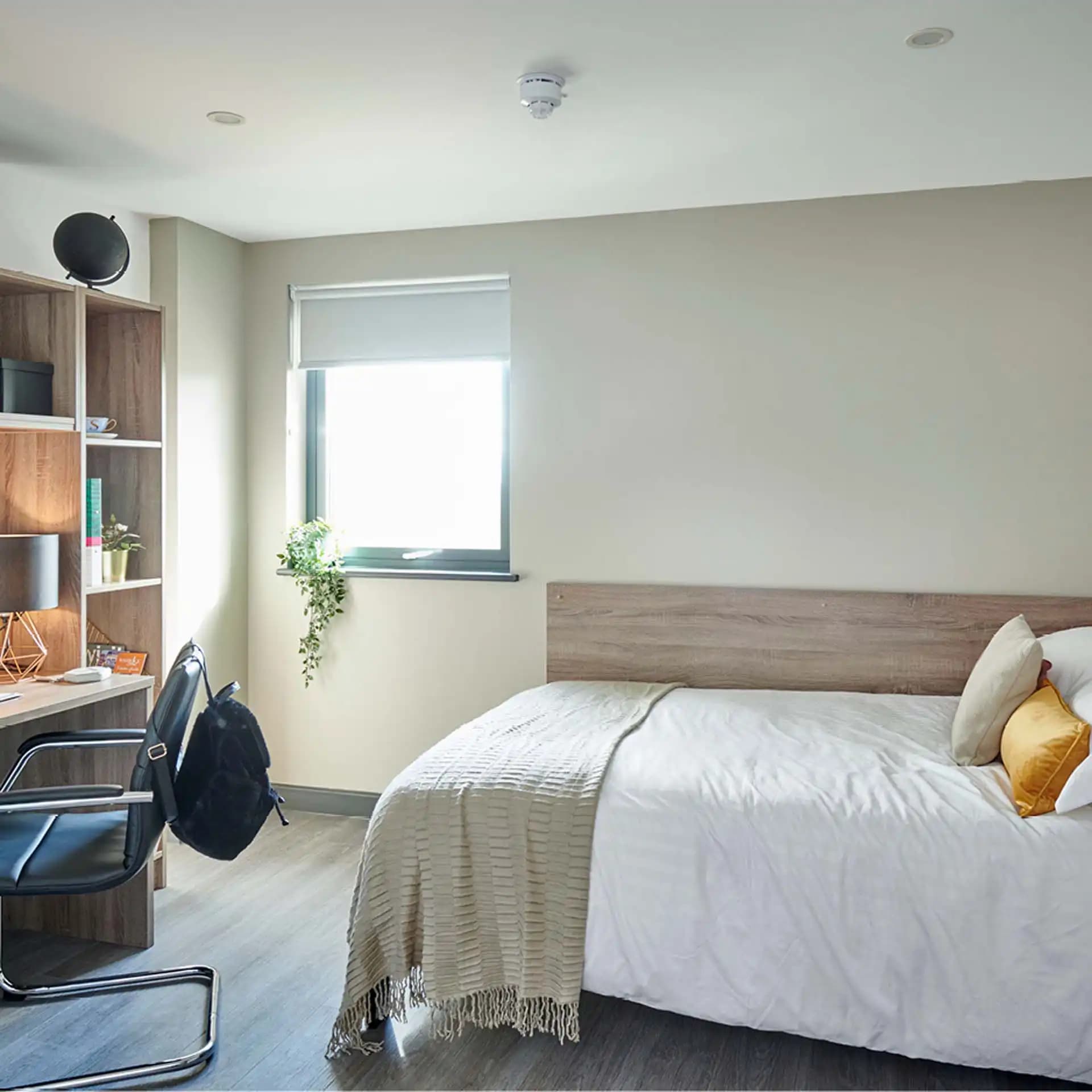 Premium En Suite Plus - 2