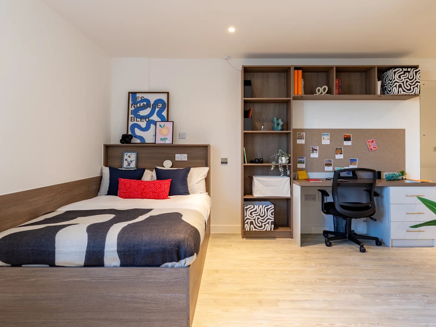 Skyline Platinum Studio - 1