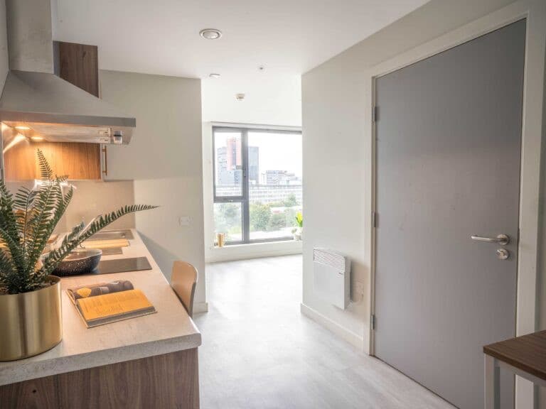 Premium Accessible Studio - 2