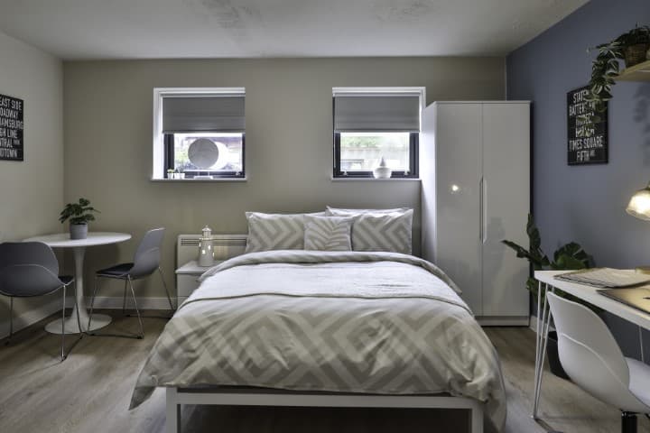 Silver Studio Plus - 6